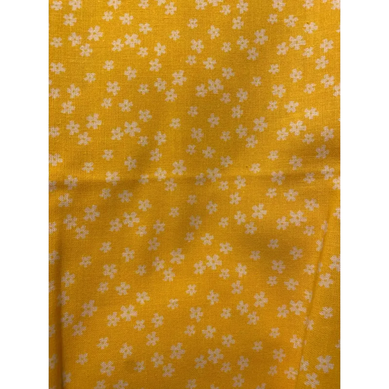 2026_06_25_2428935