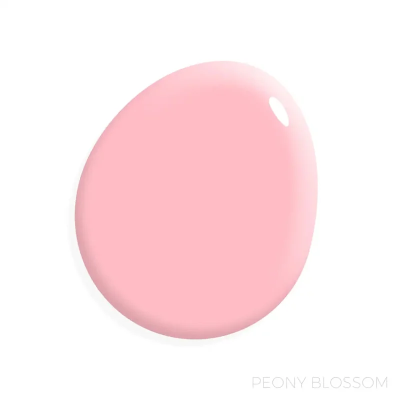2026_06_27_2771651