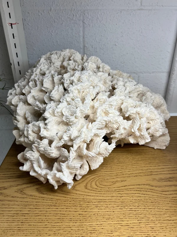 2026_06_28_141470