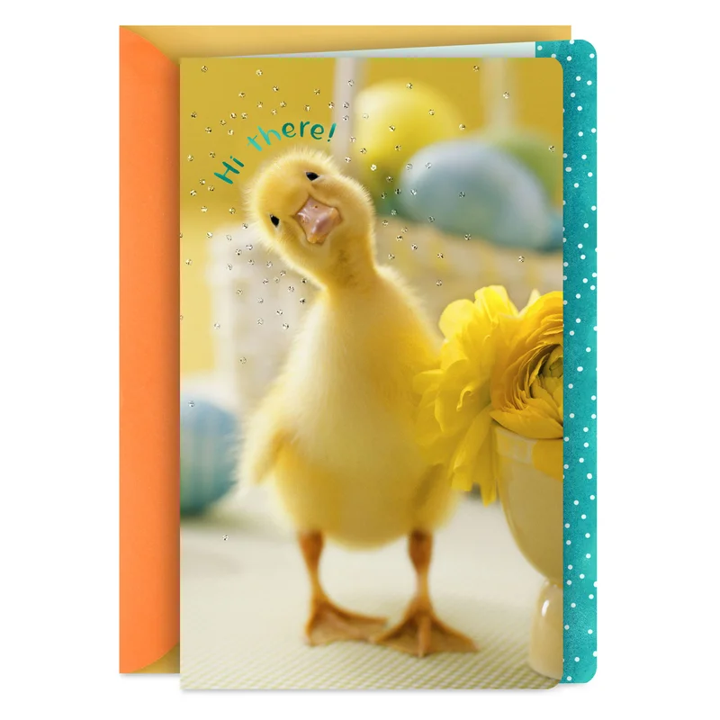 hallmark202606242330082387382