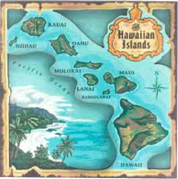 hawaiigifts202606241729042346791