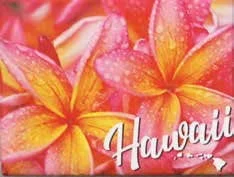hawaiigifts202606241729202346826